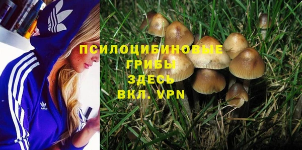 не бодяженный Алексин