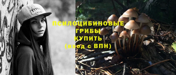 не бодяженный Алексин