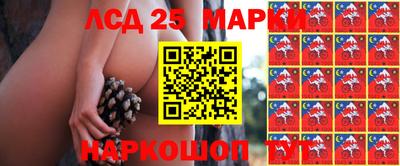 ПСИЛОЦИБИНОВЫЕ ГРИБЫ Бердск