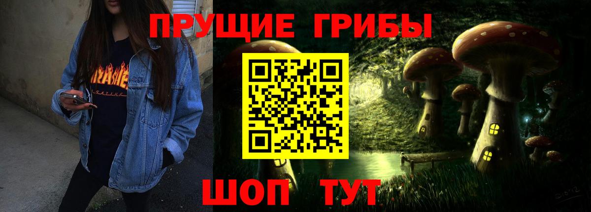 Лобня  Псилоцибиновые грибы Psilocybe  Вход с VPN 